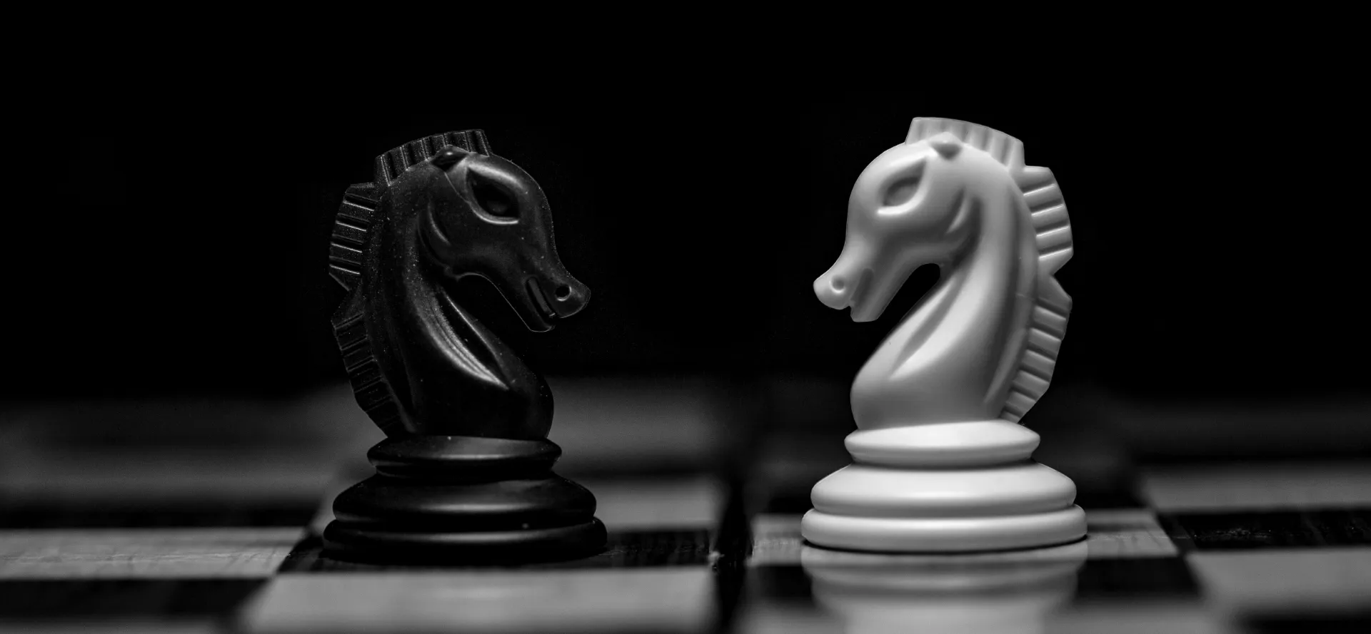 kilpailijatutkimuksen