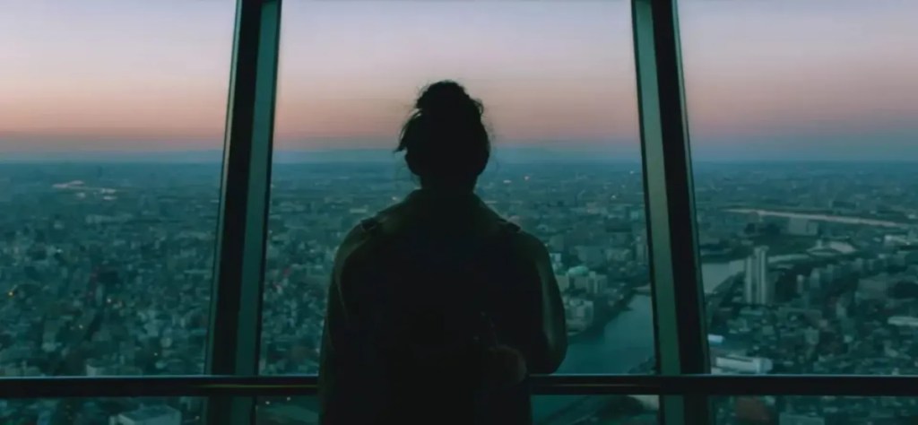 Person looking to expand business to Europe with language translation services.