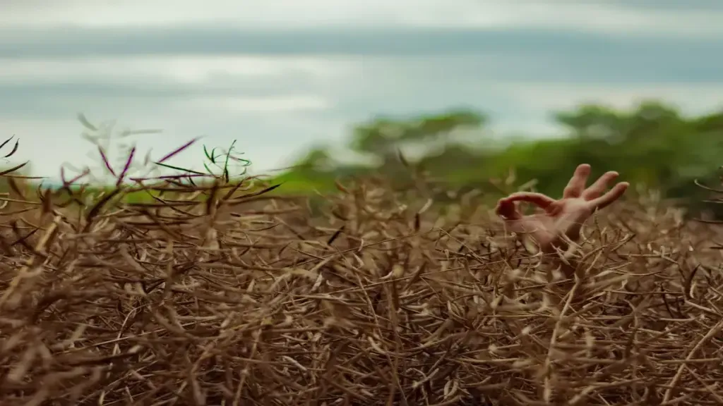 Käsi nousemassa esiin tiheästä kasvustosta symboloi asiakkaan tarvetta tulla kuulluksi ja autetuksi – hyvä asiakaspalvelu löytää ratkaisun tilanteessa kuin tilanteessa.