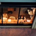 An-offshoring-office