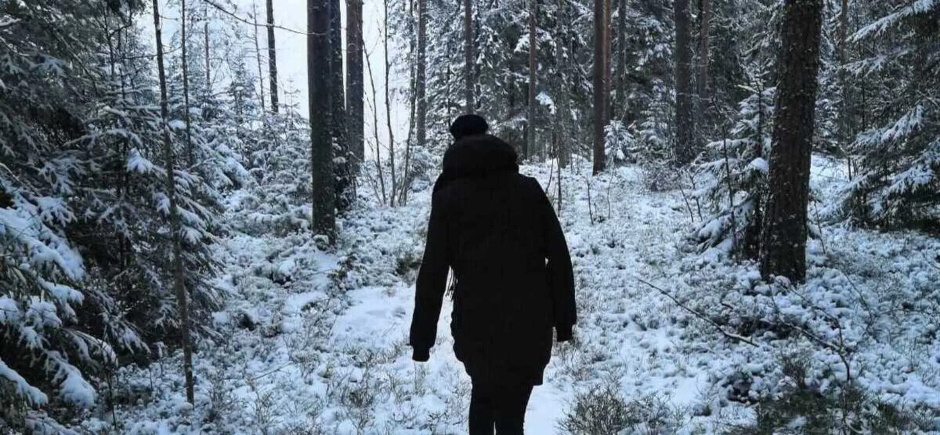 Työharjoittelu Katriumilla