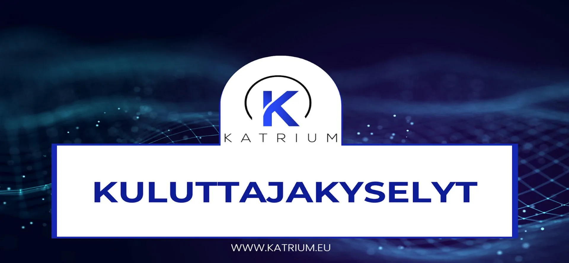 Kuluttajakyselyt