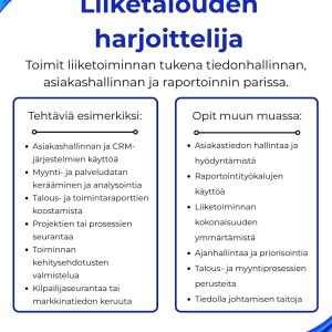 Liiketalouden harjoittelijan mahdolliset työtehtävät ja mitä voi oppia Katriumilla.