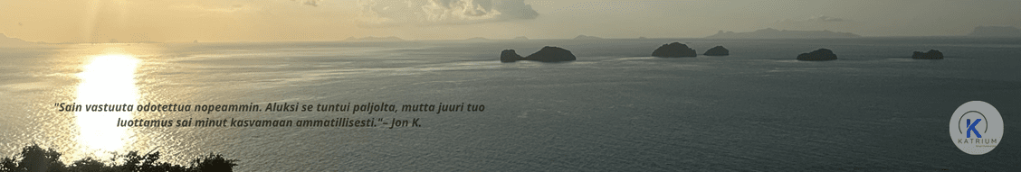 Kansainvälinen työharjoittelu