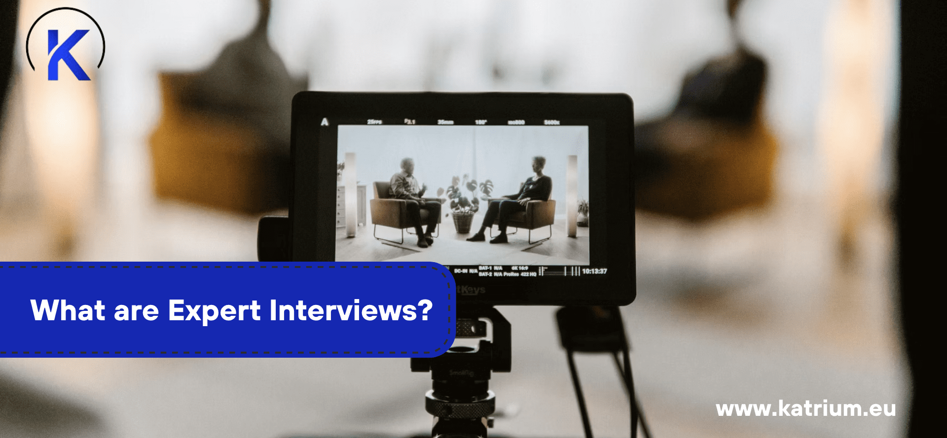 Expert Interviews