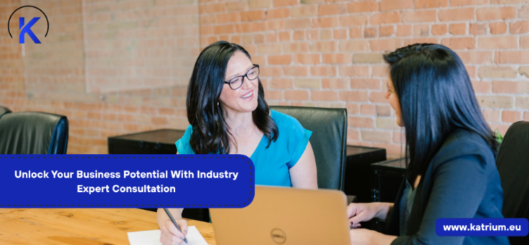 Unlock Your Business Potential With Industry Expert Consultation